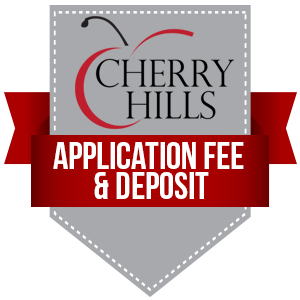 Application-Fee